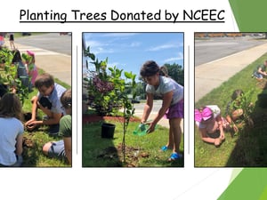 Tree Planting